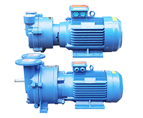 2BV水(shui)環真空(kong)泵 直連(lian)式防爆(bao)真空泵(beng)